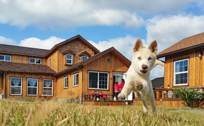 Ferienhäuser für 8 Personen mit Hund