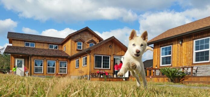 Ferienhäuser für 8 Personen mit Hund